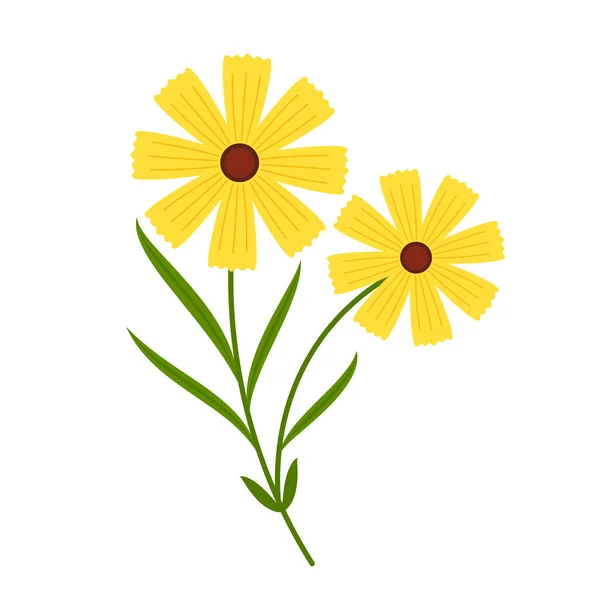 Mimosa Vetor Flores Ilustração Isolada Sobre Fundo Branco Flor Amarela — Vetor de Stock