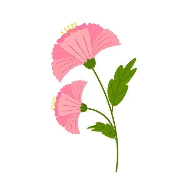 Вектор Квітки Гібіскуса Гібіскус Красива Квітуча Квітка Ізольована Білому Тлі — стоковий вектор