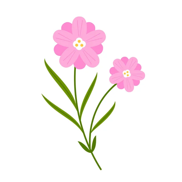 Flores Croco Violeta Pote Com Folhas Isoladas Branco Desenhos Animados — Vetor de Stock