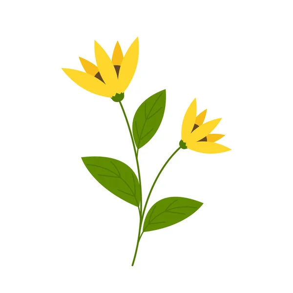 Finom Virágzó Sárga Virágok Virágos Lapos Vektor Illusztráció Elszigetelt Fehér — Stock Vector