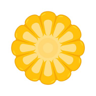 Mısır koçanı. Organik yiyecekler. Mısır koçanı doğal yemek. Olgun mısır. Patlamış mısır pişirmek için. Sağlıklı beslenme. Sebze.