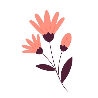 Yumuşak kırmızı lale izole edildi. Kırmızı çiçek simgesi izole edilmiş beyaz arkaplan.