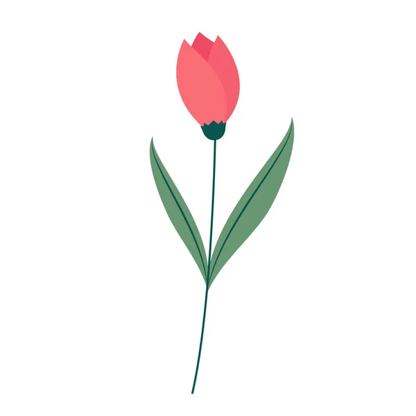Мягкий Красный Тюльпан Изолирован Красный Цветок Иконка Белого Фона — стоковый вектор