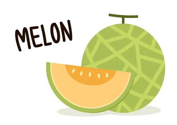 Melonvektor Melon Vit Bakgrund Tapeter Logotyp — Stock vektor