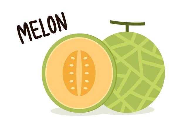 Melonvektor Melon Vit Bakgrund Tapeter Logotyp — Stock vektor