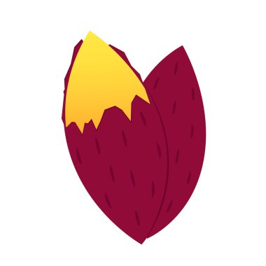 Tatlı patates. Organik sağlıklı sebze. Taze doğal kök. Düz vektör karikatür şeklinde yapılmış. Kızarmış tatlı patates. Japon Tatlı Patates.