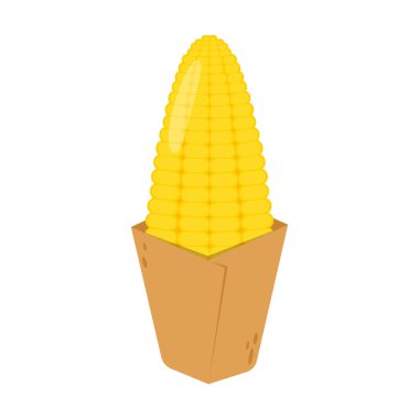 Mısır yalıtılmış vektör .yarım ve tahıllar farklı açılarda beyaz üzerinde. Mısır vektörü.