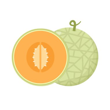 Kavun logosu vektörü. Beyaz arka planda kavun. Yarım kavun.