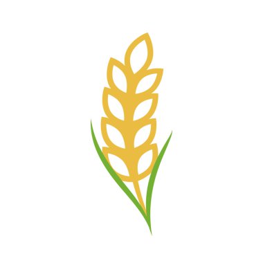 Yulaf sembolü vektörü. Buğday logosu tasarımı.