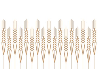 Buğday desenli duvar kağıdı. Yulaf sembolü. Metin için boş alan. Pirinç işareti. Pirinç desenli duvar kağıdı.