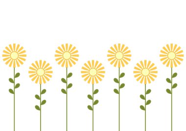 Mimosa flower vector. illustration isolated on white background. Yellow flower.