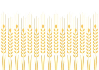 Buğday desenli duvar kağıdı. Yulaf sembolü. Metin için boş alan. Pirinç işareti. Pirinç desenli duvar kağıdı.