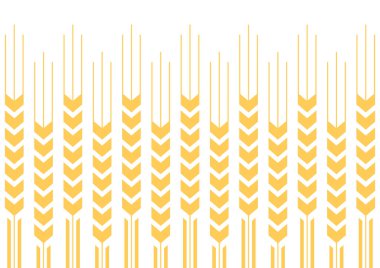 Buğday desenli duvar kağıdı. Yulaf sembolü. Metin için boş alan. Pirinç işareti. Pirinç desenli duvar kağıdı.