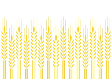 Buğday desenli duvar kağıdı. Yulaf sembolü. Metin için boş alan. Pirinç işareti. Pirinç desenli duvar kağıdı.