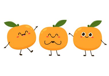 Mandarin orange on shadow flat design vector - illustration. Chinese New Year Mandarin Orange.