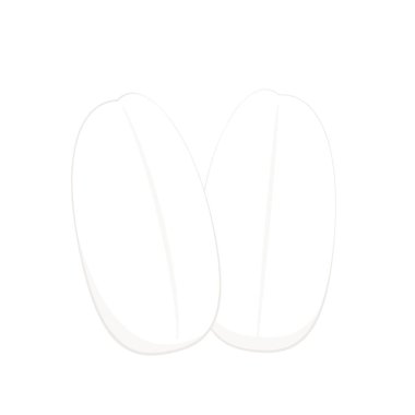 Beyaz arka planda izole edilmiş pirinç tohumu. Pirinç tohumu logosu Mısır gevreği işareti.