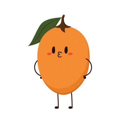 Sapodilla beyaz arka planda izole edildi. Vektör illüstrasyonu, sapodilla meyve vektörü.