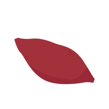 Tatlı patates. Organik sağlıklı sebze. Taze doğal kök. Düz vektör karikatür şeklinde yapılmış. Kızarmış tatlı patates. Japon Tatlı Patates.