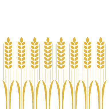 Buğday desenli duvar kağıdı. Yulaf sembolü. Metin için boş alan. Pirinç işareti. Pirinç desenli duvar kağıdı.