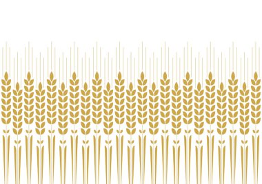 Buğday desenli duvar kağıdı. Yulaf sembolü. Metin için boş alan. Pirinç işareti. Pirinç desenli duvar kağıdı.