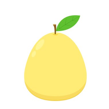 Asya armudu armudu ve beyaz arka planda yarı izole. Düz stil tropikal egzotik meyvelerin vektör çizimi.