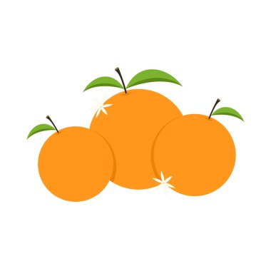 Mandalina turuncusu beyaz arka plan vektörü - illüstrasyon. Çin Yeni Yıl Portakalı.