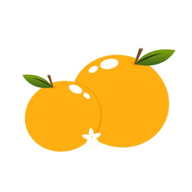 Mandalina turuncusu beyaz arka plan vektörü - illüstrasyon. Çin Yeni Yıl Portakalı.