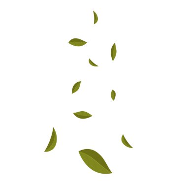 Beyaz arka planda kuru çay yaprakları uçuşuyor. Çay yaprakları izole edilmiş. Kibrit yaprakları uçuşuyor.