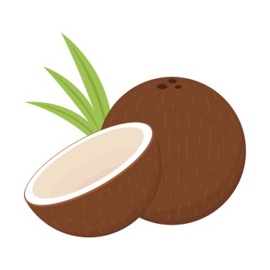 Hindistan cevizi logosu tasarımı. Hindistan cevizi vektörü. Beyaz arkaplanda hindistan cevizi.