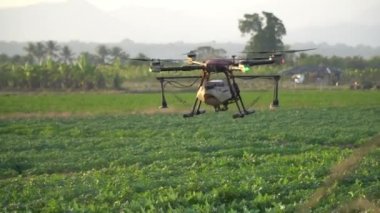 Tarımsal dron tarlalara püskürtülmüş gübre ya da kimyasal maddeye uçar.