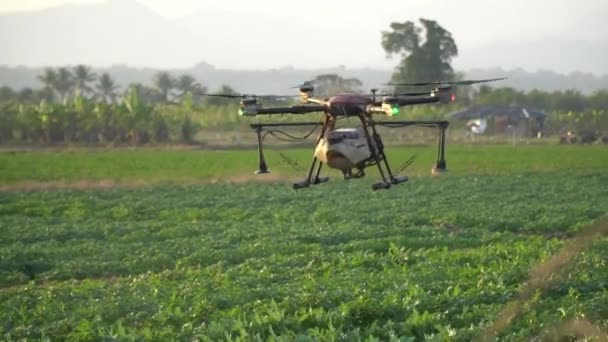 Jordbruksdrönare Flyger Till Besprutade Gödselmedel Eller Kemiska Ämnen Fälten — Stockvideo