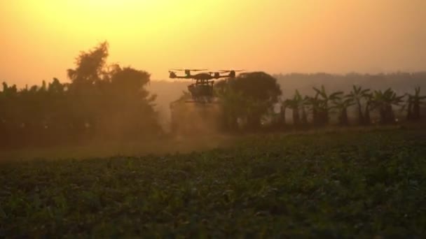 Agrar Drohne Fliegt Versprühtem Dünger Oder Chemikalien Auf Die Felder — Stockvideo