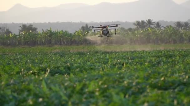Agriculture Drone Fly Sprayed Fertilizer Chemical Fields — Stock Video