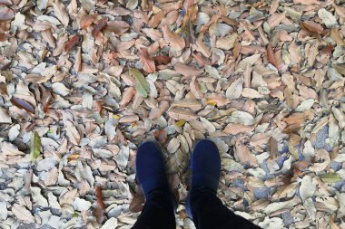 Renkli ayakkabılar giyen bir adamın ayakları kuru bir yaprağın üzerinde duruyordu..