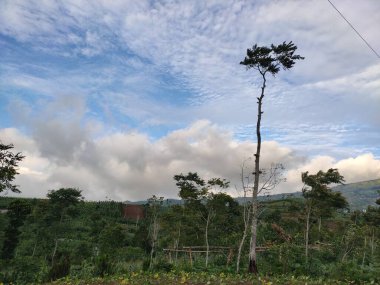 MAGELANG REGENCİ, İNDONEZYA 'NIN YÜKSEL ADAMLARININ GÖREVİ