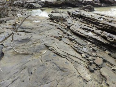 JEPARA YÖNETMENİ, CENTRAL JAVA İÇİN, İNDONEZYA 'DA Kıyı Denizi Bölgesi' nin GÖREVİ