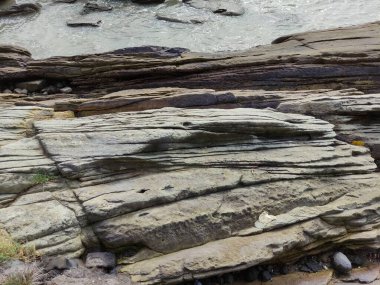 JEPARA YÖNETMENİ, CENTRAL JAVA İÇİN, İNDONEZYA 'DA Kıyı Denizi Bölgesi' nin GÖREVİ