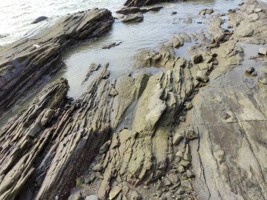 JEPARA YÖNETMENİ, CENTRAL JAVA İÇİN, İNDONEZYA 'DA Kıyı Denizi Bölgesi' nin GÖREVİ