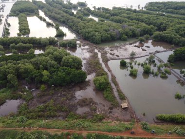 SEMARANG CITY 'in kıyı bölgesi güzel bir mangrov orman turizmine sahip ve aynı zamanda deniz suyu aşınmasını da önlüyor..