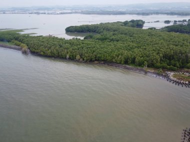 SEMARANG CITY 'in kıyı bölgesi güzel bir mangrov orman turizmine sahip ve aynı zamanda deniz suyu aşınmasını da önlüyor..