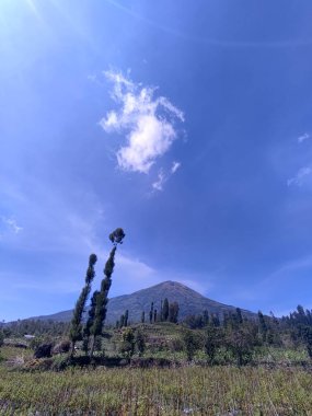 Sindoro Dağı 'nın eteklerindeki güzel dağ plantasyonunun panoramik manzarası, Temanggung