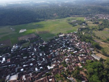 Orta Cava köyündeki tarımsal pirinç tarlalarının hava manzarası. Teraslı pirinç tarlaları gibi. Bali Endonezya.