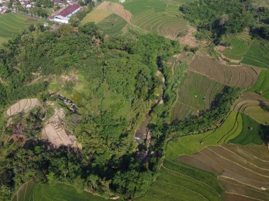 Orta Cava köyündeki tarımsal pirinç tarlalarının hava manzarası. Teraslı pirinç tarlaları gibi. Bali Endonezya.