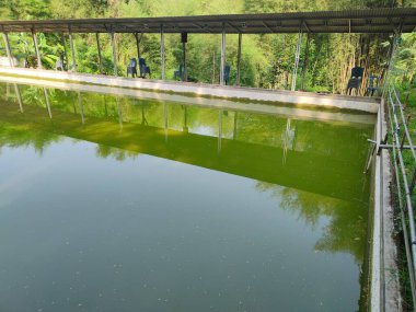 Kentsel alanlarda balık havuzları basit ve kolay avlanır.