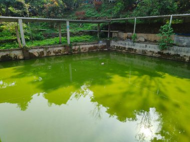 Kentsel alanlarda balık havuzları basit ve kolay avlanır.