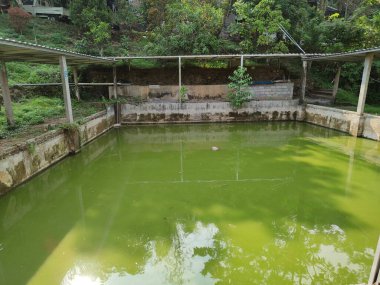 Kentsel alanlarda balık havuzları basit ve kolay avlanır.