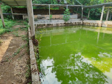 Kentsel alanlarda balık havuzları basit ve kolay avlanır.