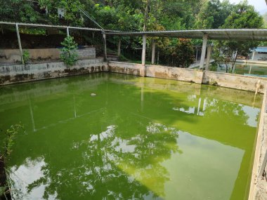 Kentsel alanlarda balık havuzları basit ve kolay avlanır.