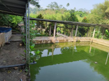 Kentsel alanlarda balık havuzları basit ve kolay avlanır.