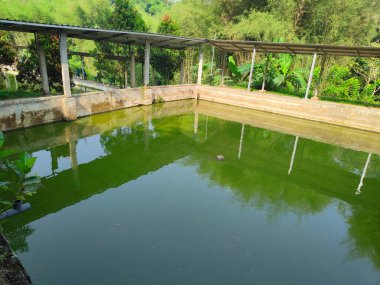 Kentsel alanlarda balık havuzları basit ve kolay avlanır.